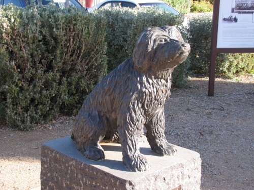 Bob the Railway dog in front of the Visitor Centre, Peterborough