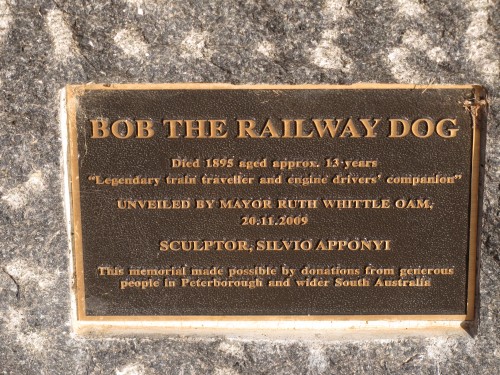 Bob the Railway dog in front of the Visitor Centre, Peterborough, South Australia