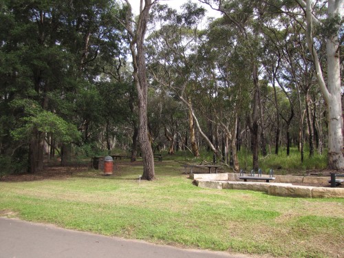 Ku-ring-gai Wildflower Gardens picnic area