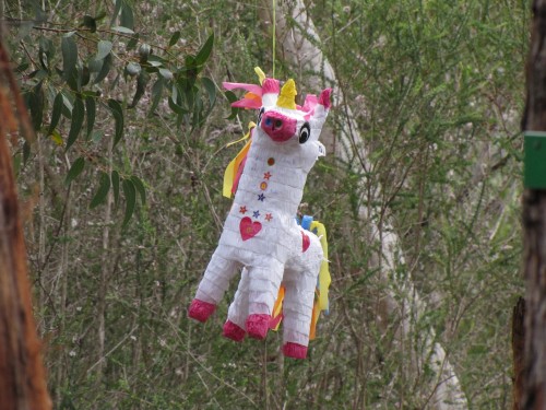 A pinata in the picnic area of the gardens