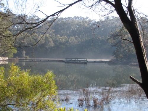 Laratinga Wetlands on a cold misty winter's morning
