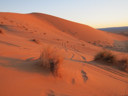Early morning sun on the Sahara Desert sand