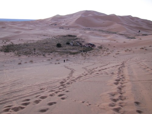Our campsite in the Sahara