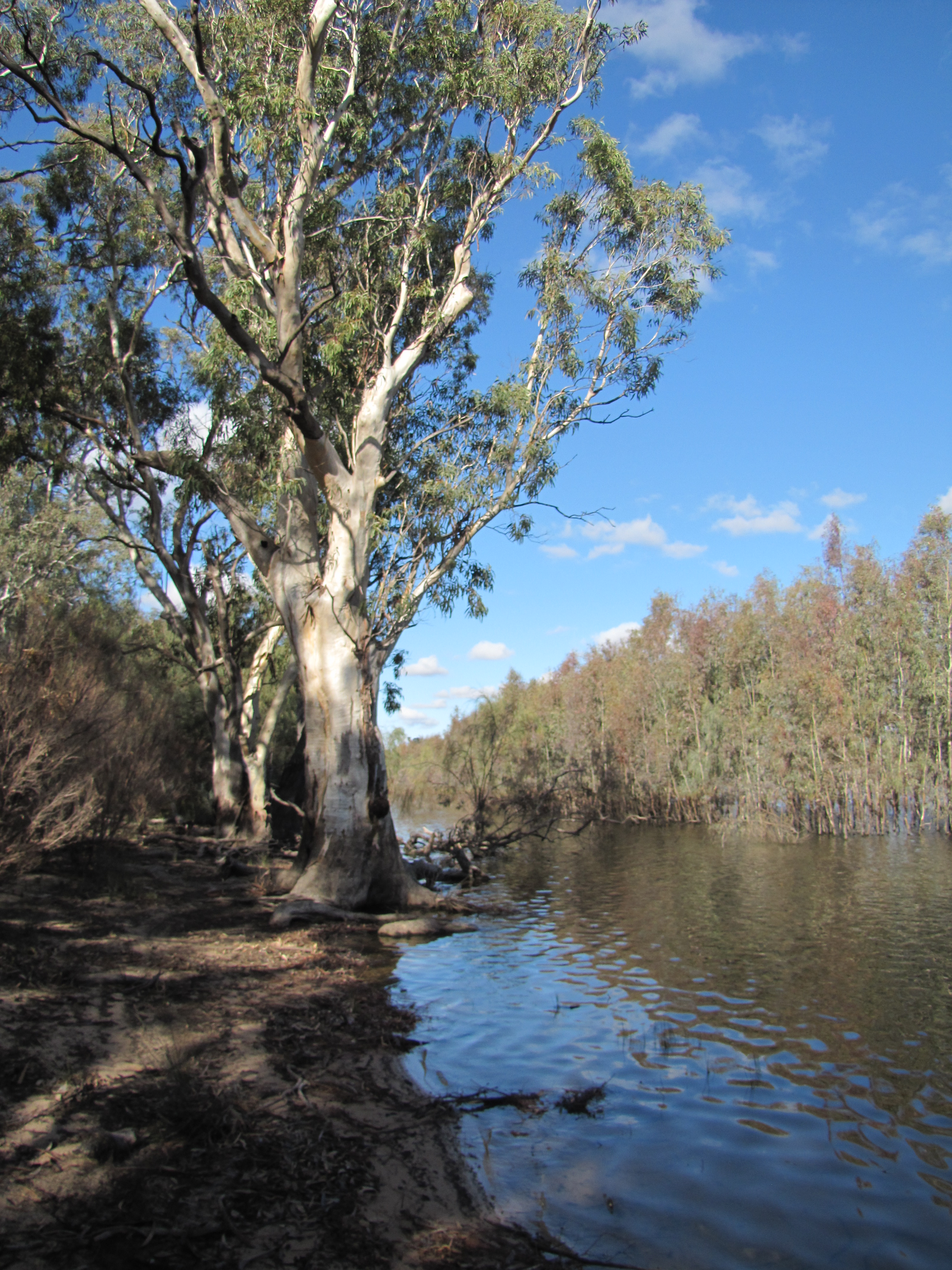 Lake Hattah, Hattah-Kulkyne National Park, Victoria - Trevor's Travels